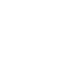 Business Finland logo
